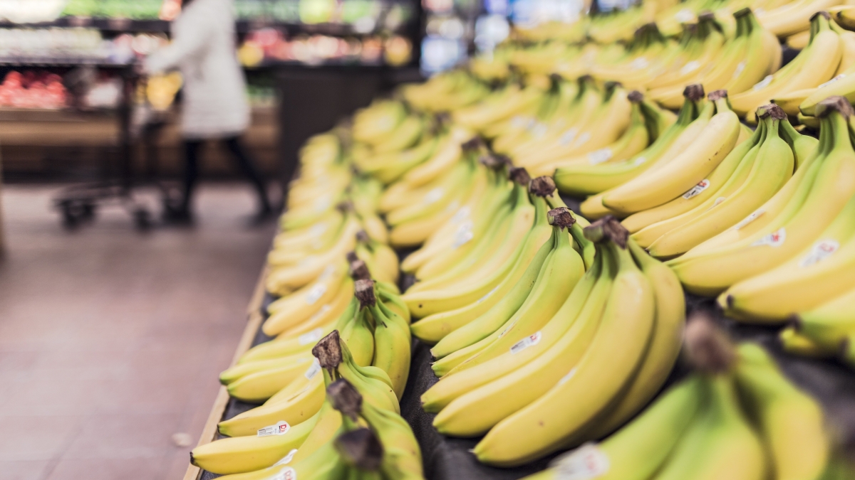 Cáscara de maíz y permanganato para alargar la vida útil del plátano.jpg